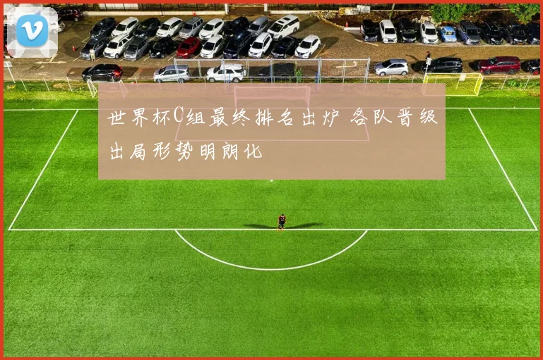 世界杯C组最终排名出炉 各队晋级出局形势明朗化