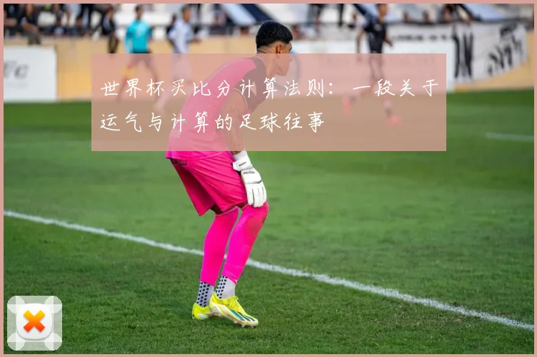 世界杯买比分计算法则:一段关于运气与计算的足球往事