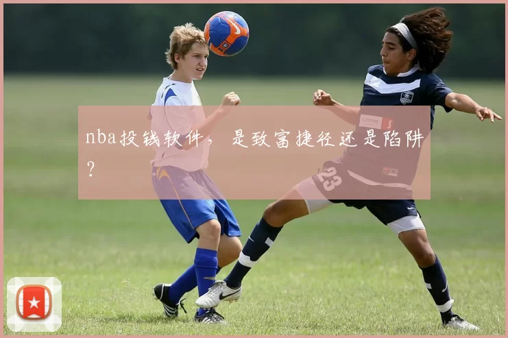 nba投钱软件,是致富捷径还是陷阱?
