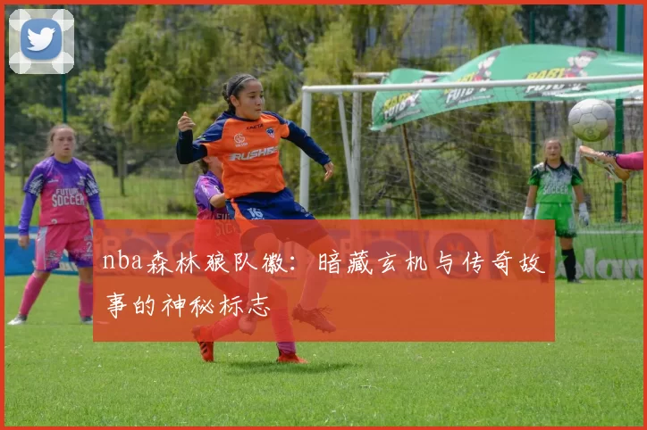 nba森林狼队徽：暗藏玄机与传奇故事的神秘标志