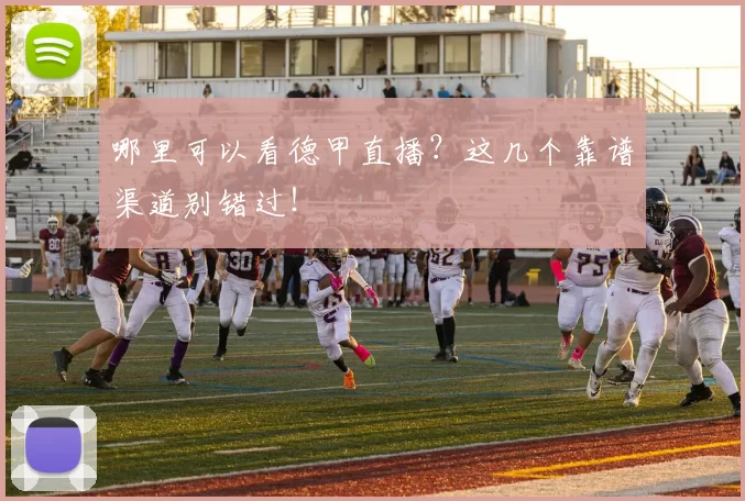 哪里可以看德甲直播?这几个靠谱渠道别错过!