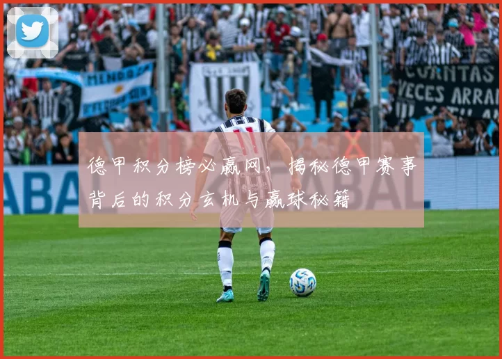 德甲积分榜必赢网,揭秘德甲赛事背后的积分玄机与赢球秘籍