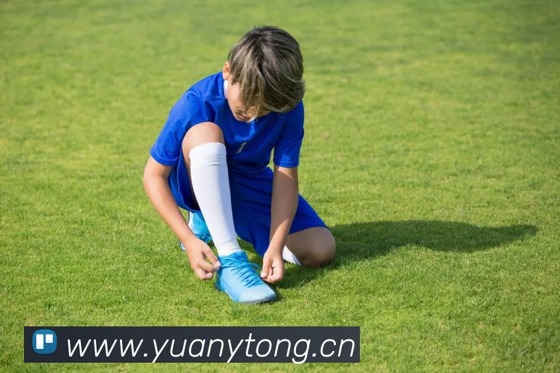 多媒体互动体验